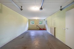 Foto Wespendief 4 Tollebeek 26.jpg